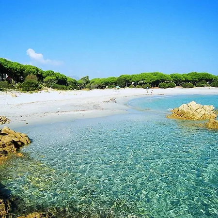 Comfy With Shared Pool Apartment *