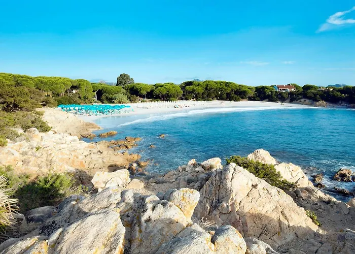 Daire Comfy With Shared Pool