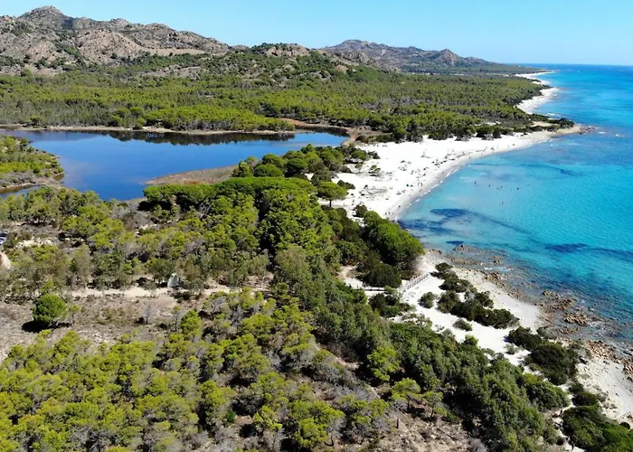 Comfy With Shared Pool * Cala Liberotto