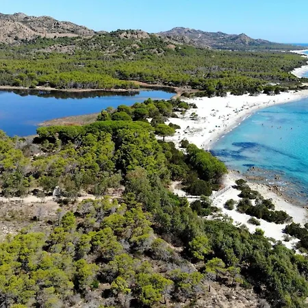 Comfy With Shared Pool * Cala Liberotto