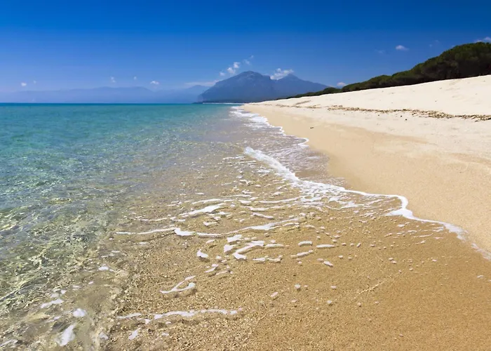 Comfy With Shared Pool *